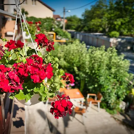 Victoria Râmnicu Vâlcea