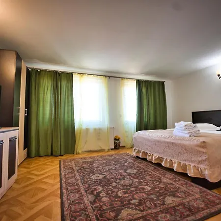 Victoria Maison d'hôtes Râmnicu Vâlcea