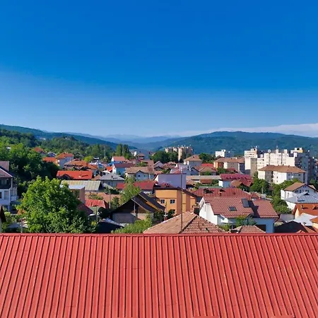 Maison d'hôtes Victoria Râmnicu Vâlcea